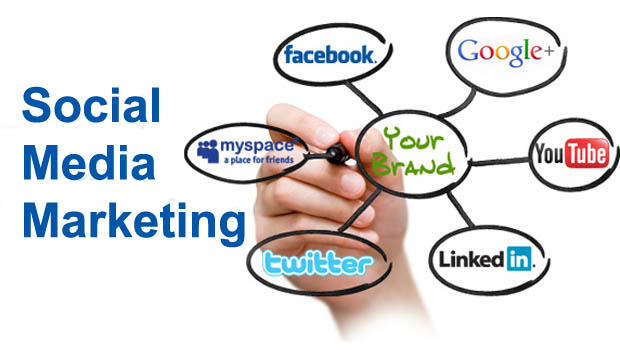 Social Media Management Services in Turkiye, SMM Services, Best Social Media Marketing Company in India